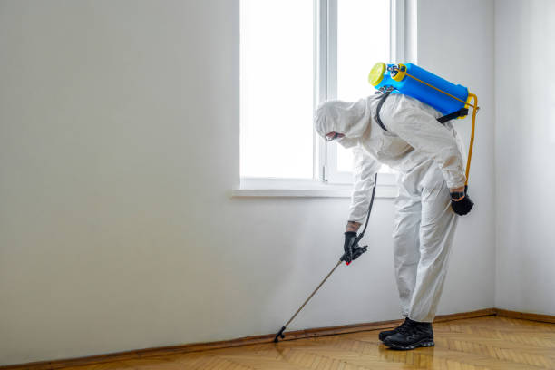 Best Cockroach Control Services  in Chama, NM