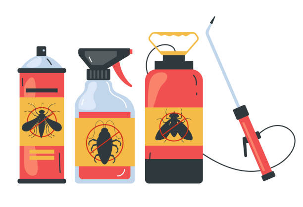 Best Local Pest Control Services  in Chama, NM
