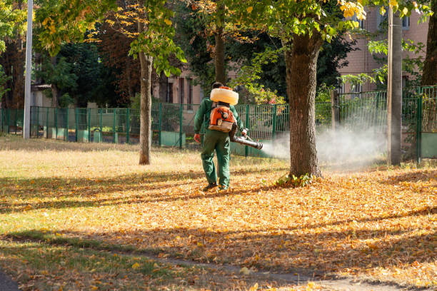 Best Pest Prevention Services  in Chama, NM